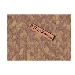 Тротуарная плитка PROPRESS, Шестигранник 40мм, Колормикс №2, Янтарь, зернистый