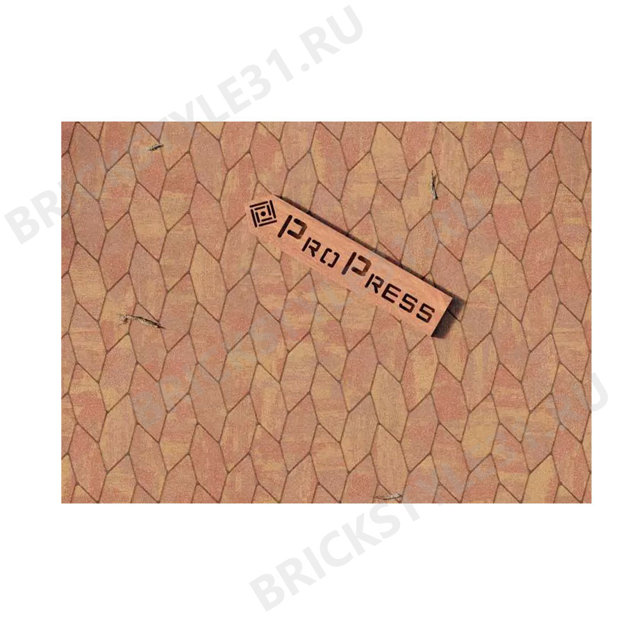Тротуарная плитка PROPRESS, Шестигранник 40мм, Колормикс №6, Осень, зернистый 
