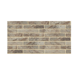 Плитка клинкерная фасадная CERAMICA PARADYZ, Ardis Light