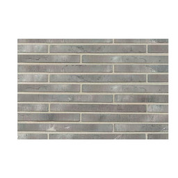 Ригельная плитка Wandermode, Armschwung, АР020R20, Aschgrau