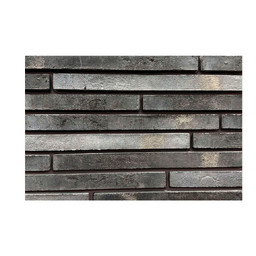 Ригельная плитка Wandermode, Design, DР141R20, Befriedung